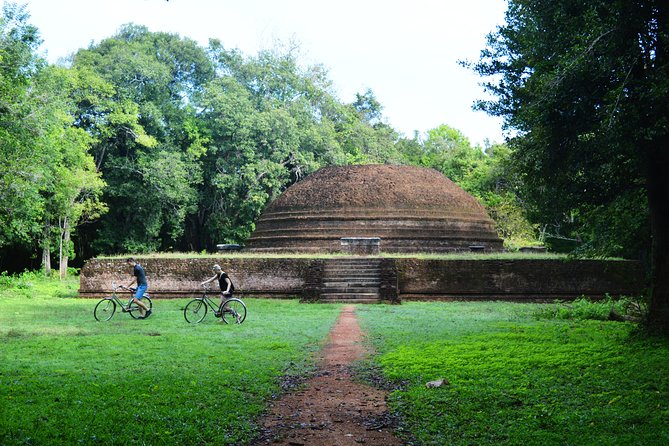 Sigiriya Cycle Tour: Explore Village Life in Sigiriya & Enjoy a Village Lunch - Key highlights at a glance