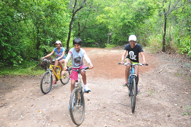 Sigiriya Cycle Tour: Explore Village Life in Sigiriya & Enjoy a Village Lunch - Cycling Comfort: Pace, Terrain, and Weather Reality
