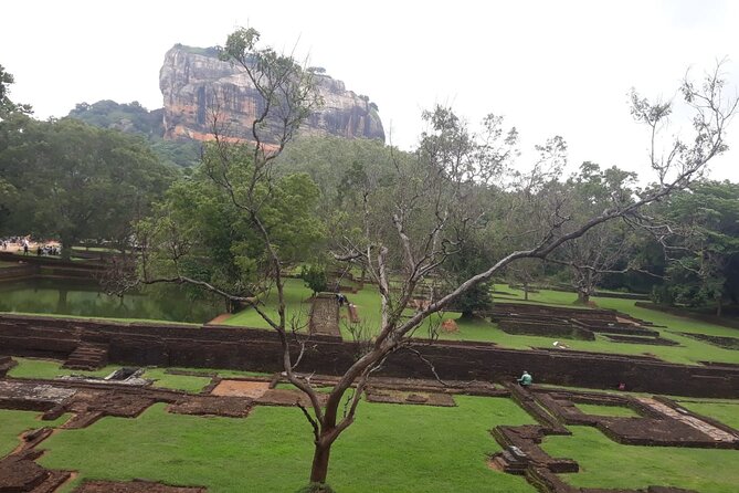 Sigiriya, Dambulla and Minneriya National Park Private Tour In - Sigiriya Lion Rock: Stairs, Heat, and the Moment the View Clicks