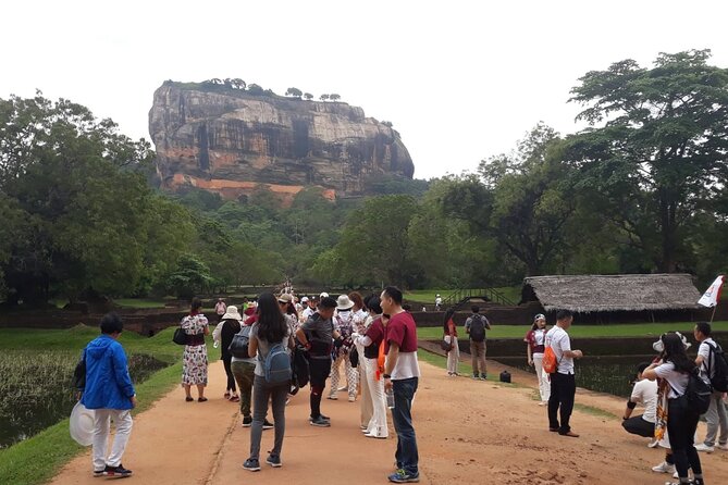 Sigiriya, Dambulla and Minneriya National Park Private Tour In - Pacing an 11-Hour Day Without Burning Out