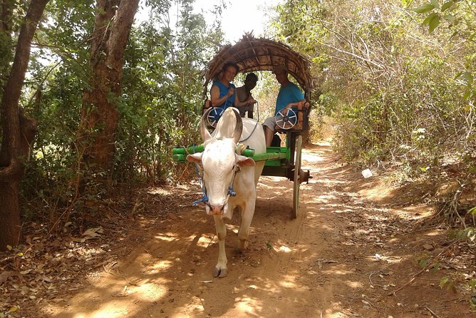 Sigiriya Day Tour - Dambulla Cave Temple - Sigiriya Fortress in a single day: museum, frescoes, and palace compounds