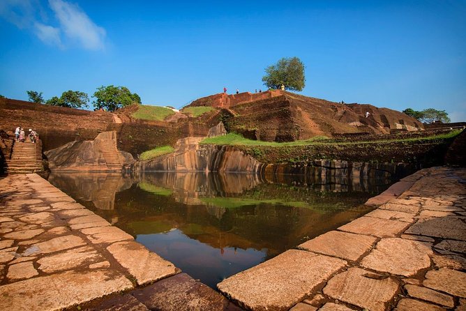 Sigiriya Day Tour from Colombo or Negombo by Private Car / Van - Stop 3: Minneriya National Park (About 2 Hours)