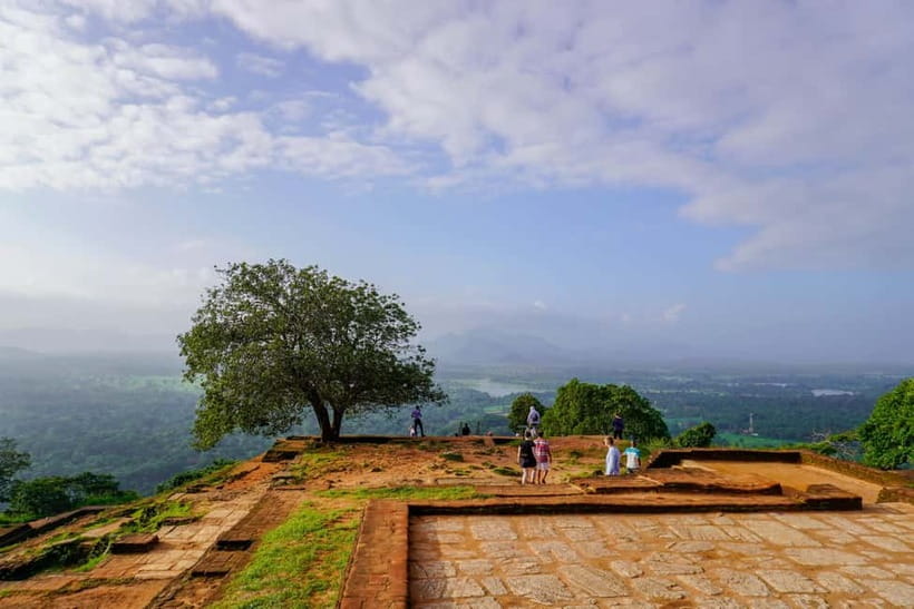 Sigiriya Lion Rock & Evening Safari Full Day Private Tour - Lunch break: a 1-hour reset that you should plan around