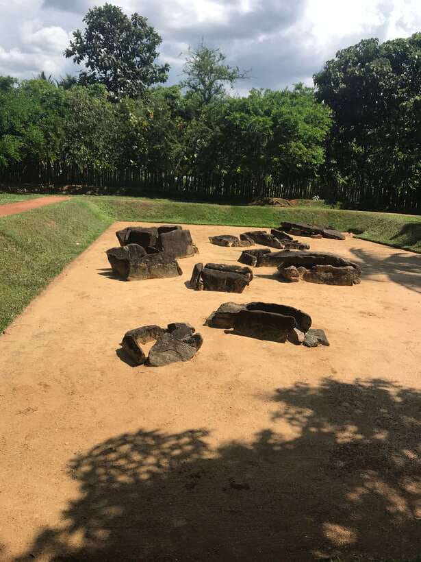 Sigiriya Lion's Rock & Dambulla Golden Cave Temple Trip - Dambulla vegetable market: a quick burst of daily life