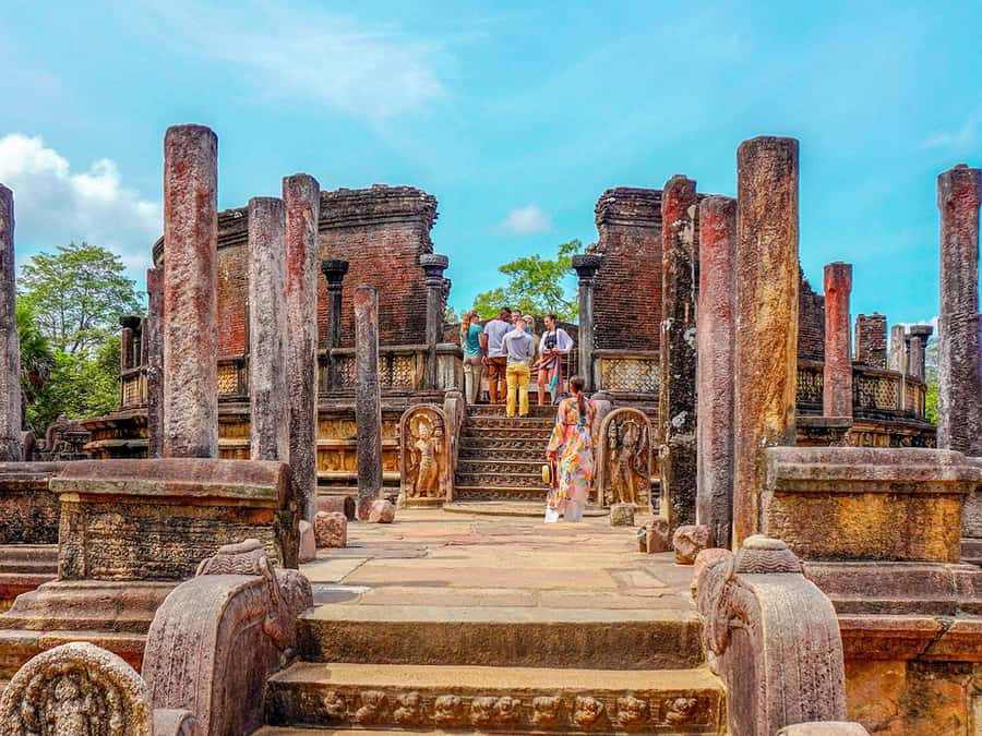 Sigiriya: Minneriya National Park Half Day Safari - Key highlights to look for