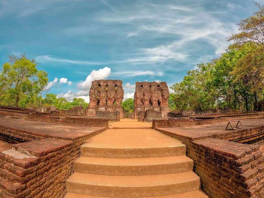 Sigiriya: Minneriya National Park Half Day Safari - Who should book this Minneriya safari