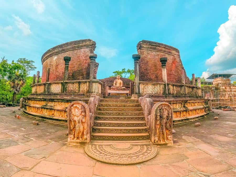 Sigiriya: Minneriya National Park Half Day Safari - Why a 3-hour Minneriya safari feels just right