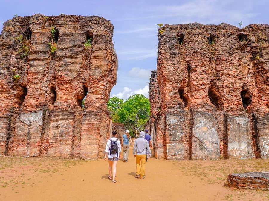 Sigiriya: Minneriya National Park Half Day Safari - How the guide experience changes the whole drive