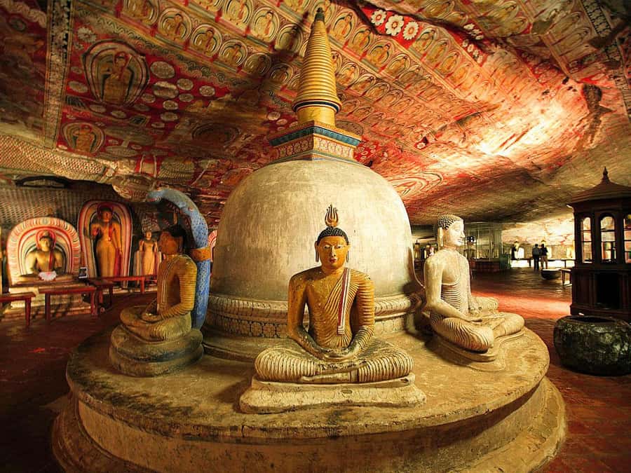 Sigiriya: Pidurangala Sunrise/Sunset Hike Excursion - How this Pidurangala sunrise or sunset outing works (3 hours, private transport)