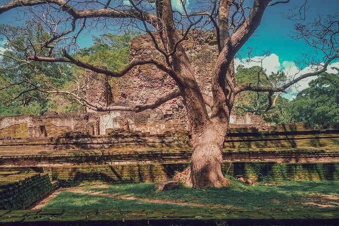 Sigiriya, Polonnaruwa & Dambulla "Trilogy" Day Tour from Colombo - Dambulla Cave Temple: Fast, Spiritual, and Very Photo-Friendly