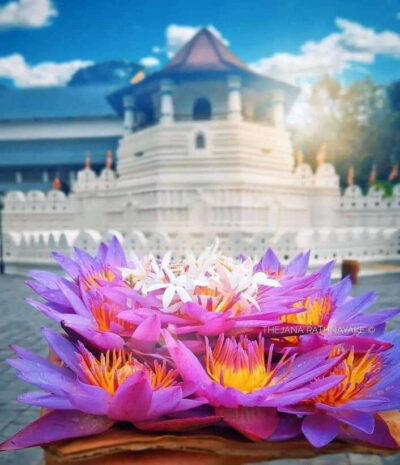 Sigiriya: Private Kandy Transfer: Visit Dambulla Cave Temple - Dambulla Cave Temple: UNESCO Paintings and Ancient Stone Statues