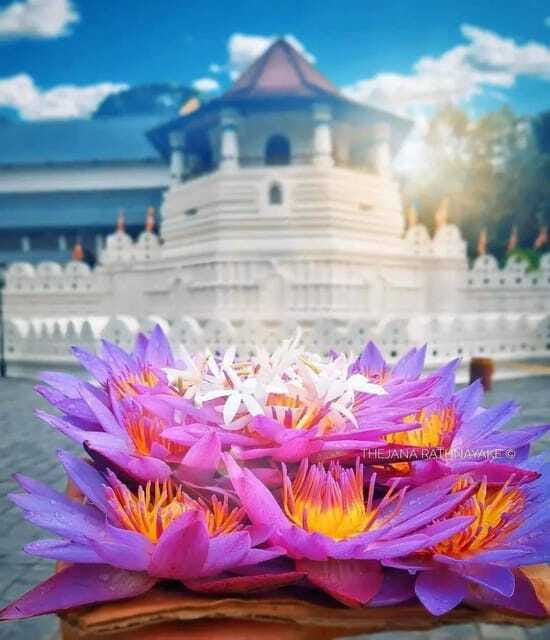 Sigiriya: Private Kandy Transfer: Visit Dambulla Cave Temple - What’s Included (and What You’ll Need to Handle)