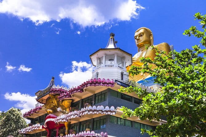 Sigiriya Rock and Dambulla Cave Temple all inclusive Private Day Trip - A one-day UNESCO combo that doesn’t waste your time