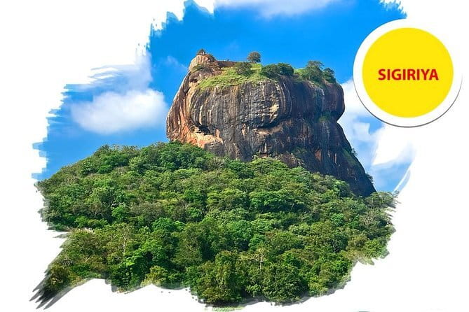 Sigiriya Rock and Dambulla Cave Temple all inclusive Private Day Trip - Which kind of traveler should book this?