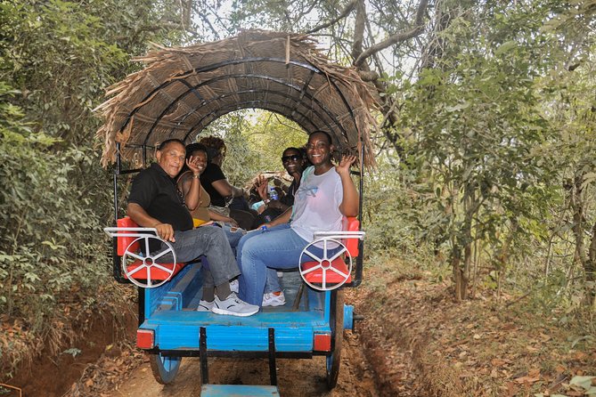 Sigiriya Rock and Village Tour from Colombo - Key things to know before you go