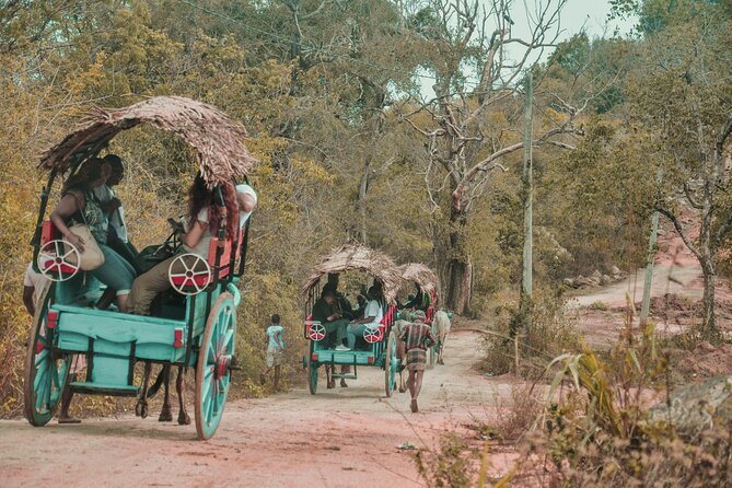 Sigiriya Rock and Village Tour from Colombo - Why this Colombo-to-Sigiriya day trip works (and who it’s for)