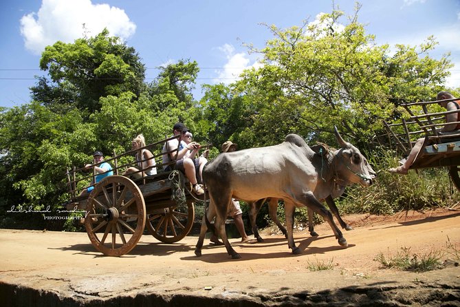 Sigiriya Rock and Village Tour from Colombo - Hiriwadunna craft village: bullock cart, canoe-like safari, and food you can watch being made