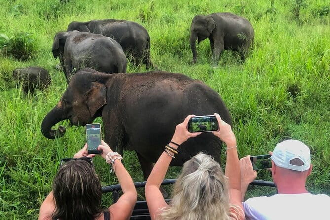 Sigiriya Rock Climb, Village Tour+Cooking Class & Elephant Safari - Key highlights you’ll feel right away