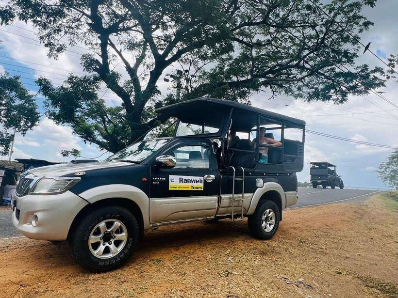 Sigiriya Rock , Dambulla Cave Temple Day Tour from Kandy” - Who should book this tour (and who should skip it)