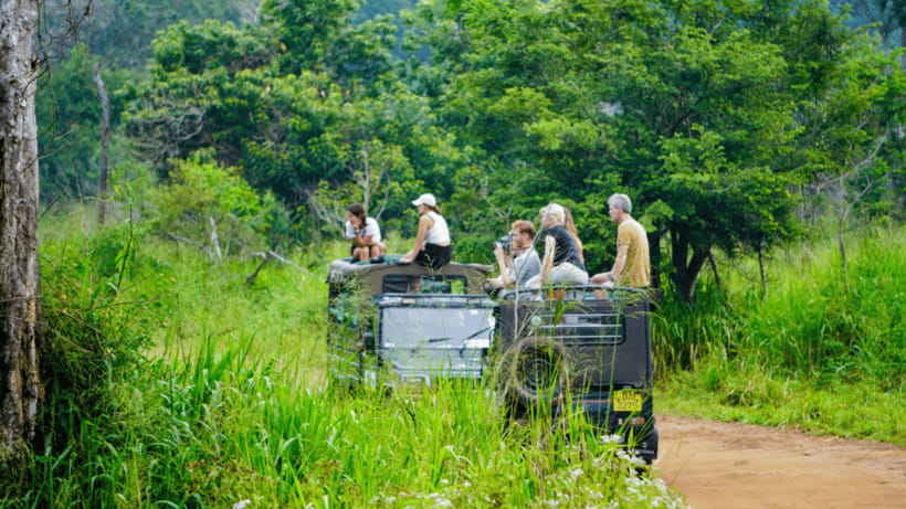 Sigiriya Rock Hike & Minneriya Elephant Safari – Day Tour - That Quick Kaudulla Photo Stop: A Brief Bonus