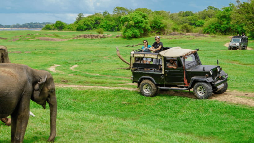 Sigiriya Rock Hike & Minneriya Elephant Safari – Day Tour - Lunch Break and Food Reality: Optional Rice & Curry