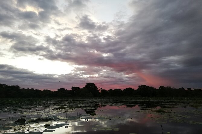Sigiriya Sunrise/Sunset Guided Boat Ride - Timing That Works: 5:30 a.m. Sunrise vs 4:30 p.m. Sunset
