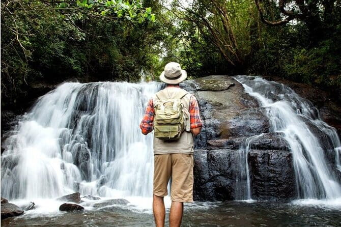 Sinharaja Rain Forest Day Tour from Mirissa, Galle, Bentota Area - Key highlights