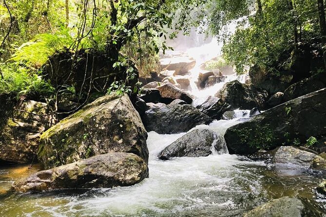 Sinharaja Rain Forest Guided Day Tour - Gin Ganga river walk: the border that changes the rhythm