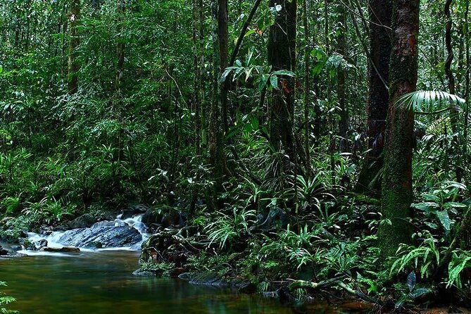 Sinharaja Rain Forest Guided Day Tour - Guide style: the difference between walking and learning