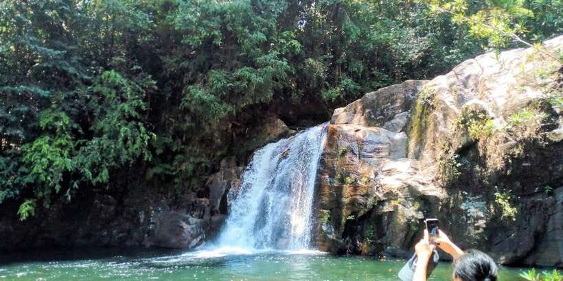 Sinharaja Rainforest Private & Customize Tour - Key things I’d pay attention to