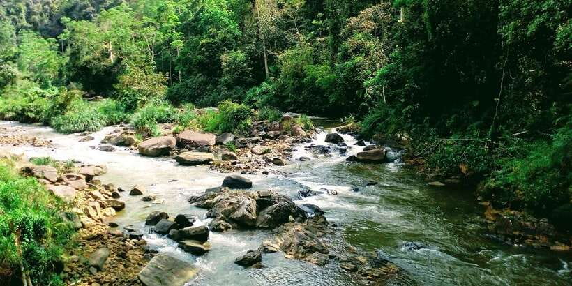Sinharaja Rainforest Private & Customize Tour - Who this tour is best for