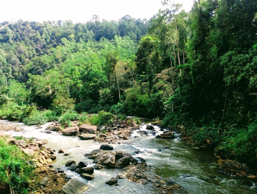 Sinharaja Rainforest Private & Customize Tour - Private group logistics: how the day stays personal
