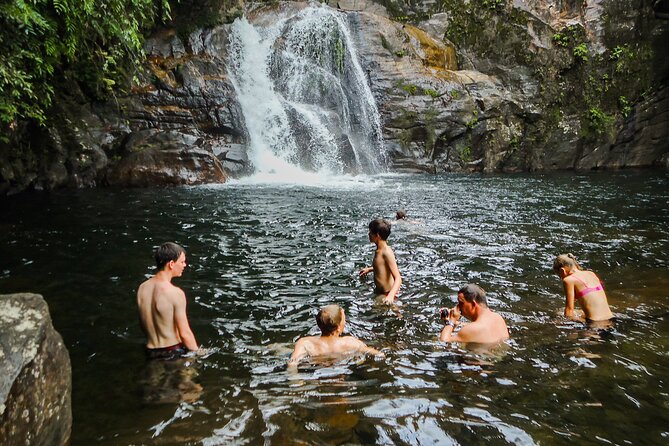 Sinharaja Rainforest Private Half Day Tour with Licensed Guide - Key highlights to plan around