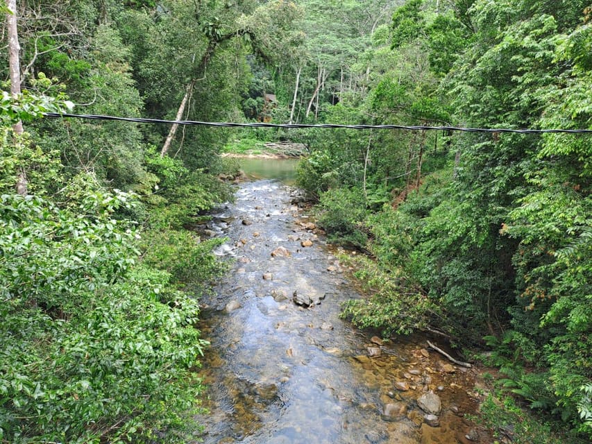 Sinharaja Rainforest Tour - Who should book this Sinharaja day hike, and who might not