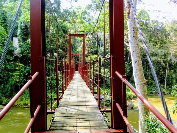 Sinharaja Rainforest Tour - Sinharaja’s Atmosphere: Why This Forest Feels Like a Different Planet