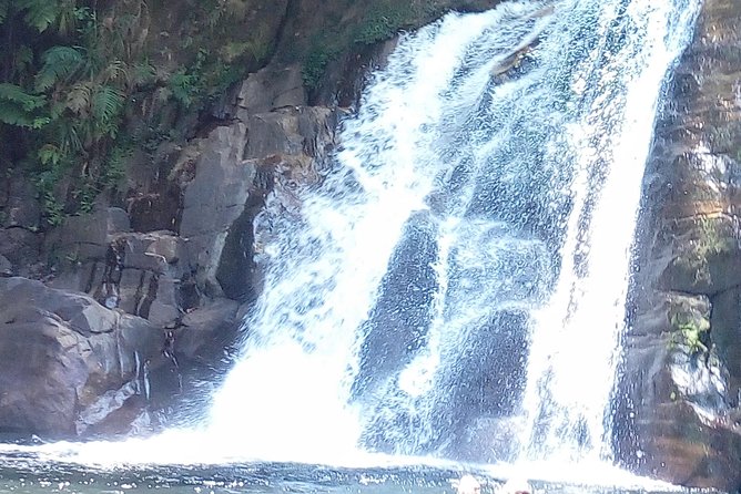 Sinharaja Rainforest Tour - The Waterfall Swim Stop: A Simple Luxury That’s Hard Solo