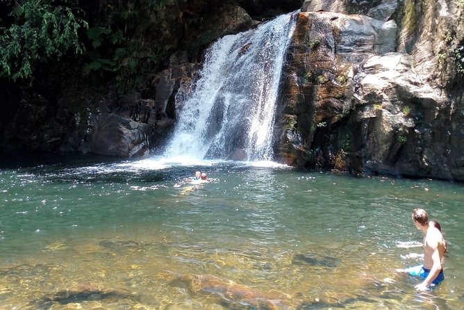 Sinharaja Rainforest Tour - Price and Value: What $110 Buys You (and What It Doesn’t)