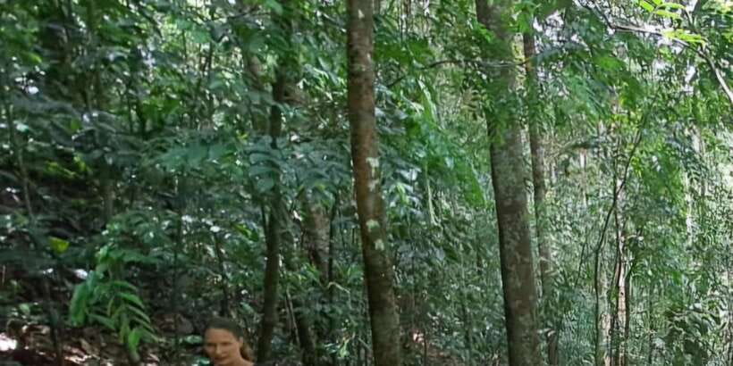 Sinharaja Rainforest Tour - Service quality: drivers, communication, and guide attention