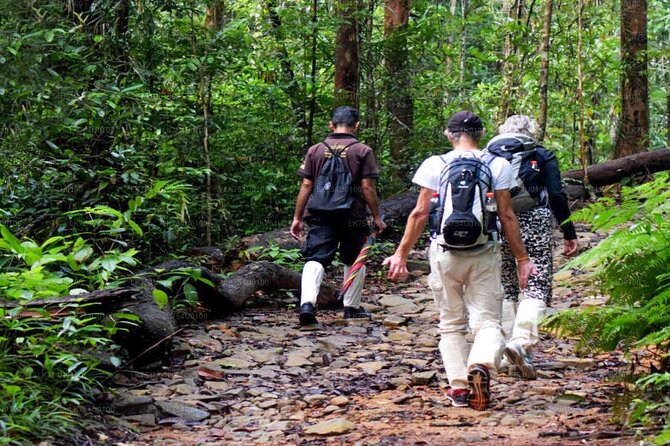 Sinharaja Rainforest Trekking Private Day Trip with Local Lunch - The guided trek: how you get more out of the forest than solo walking