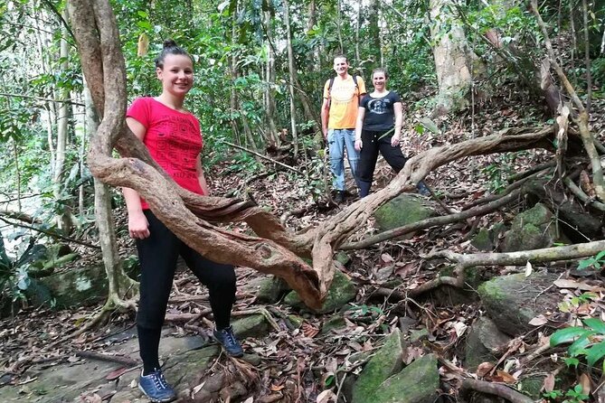 Sinharaja Rainforest Trekking Private Day Trip with Local Lunch - Lunch in the middle of the day: simple Sri Lankan energy that actually fits