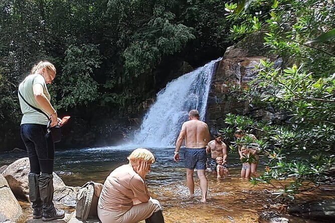 Sinharaja Rainforest Trip - Key highlights at a glance