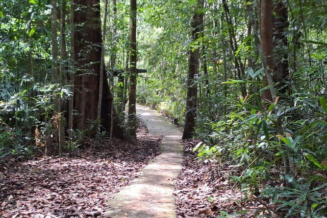 Sinharaja Rainforest Trip - From 8:00 Pickup to Sinharaja Gate: The big-picture flow