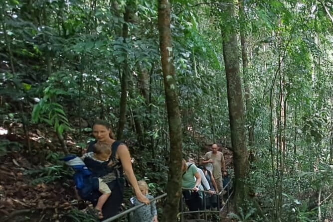 Sinharaja Rainforest Trip - Lunch inside the forest area: views with your meal