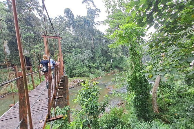 Sinharaja Rainforest Trip - Hotel pickup across the south coast: what “included” really means