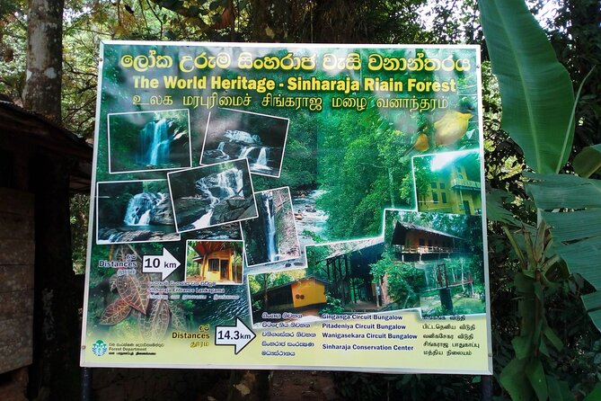 Sinharaja Rainforest & Udawalawe Safari - 2 Days, All Inclusive - Price and Value: What $340 Actually Buys You