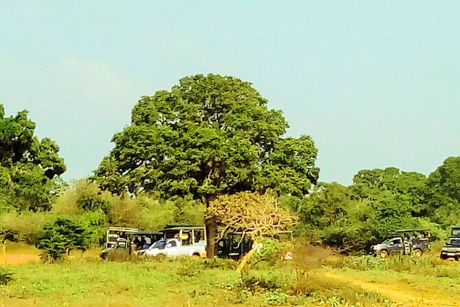 Sinharaja Rainforest & Udawalawe Safari - 2 Days, All Inclusive - Day 1: Coastal Pickup Stops, Then Galle Dutch Fort and Polhena Beach