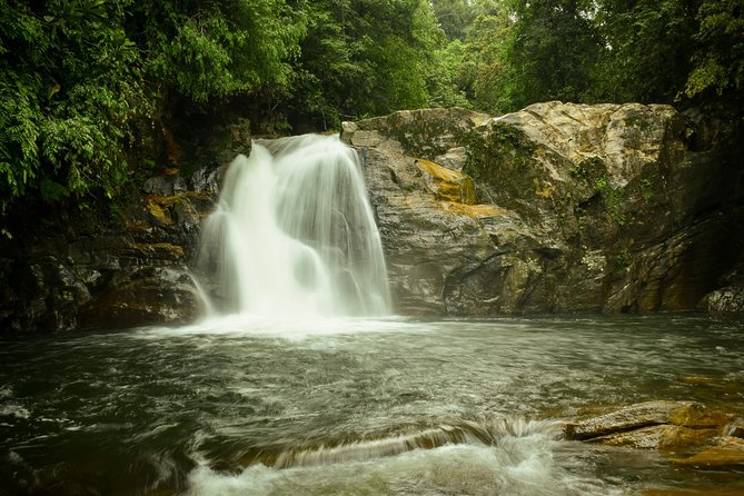 Sinharaja Short tour with 5 waterfalls tour or Adventure tour - Two waterfall stops: swimming and natural fish therapy (with time to enjoy)