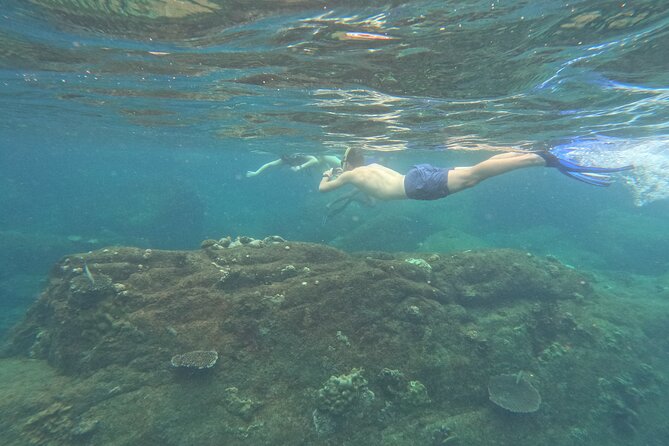 Snorkeling at Angel Rock - Key things to know before you go