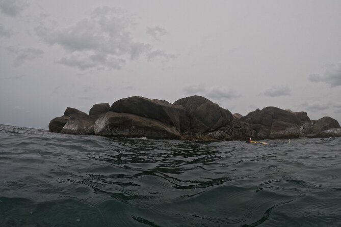Snorkeling at Angel Rock - Group or private boat: which option fits your style
