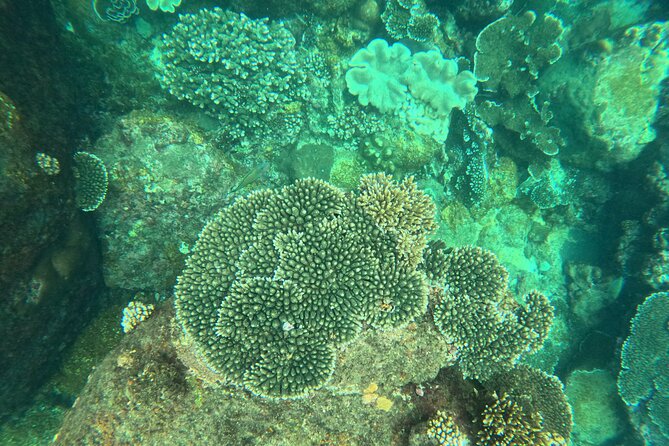 Snorkeling at Angel Rock - Meeting point in Nilaveli: where to be and what to expect after